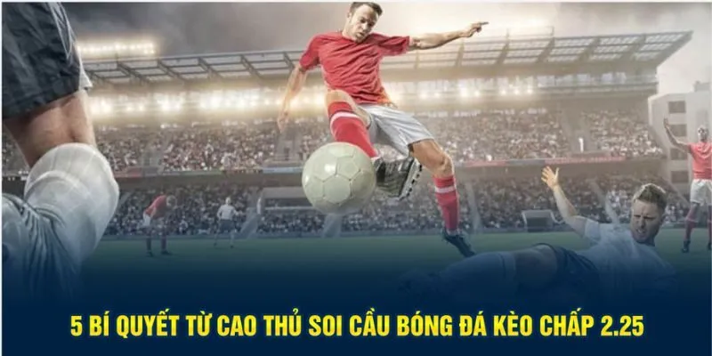 5 bí quyết từ cao thủ soi cầu bóng đá kèo chấp 2.25