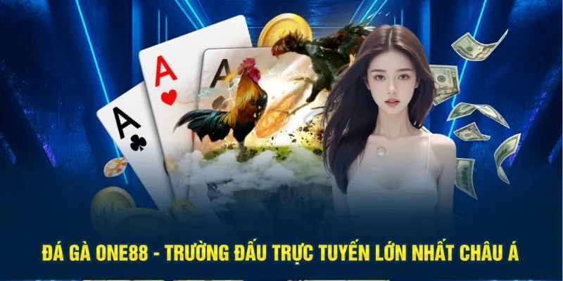 Đá gà tại One88 được nâng tầm lên một đẳng cấp khác