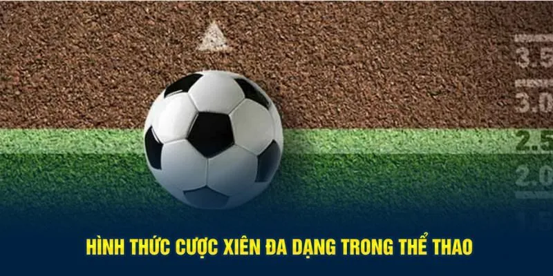 Hình thức cược xiên đa dạng trong thể thao