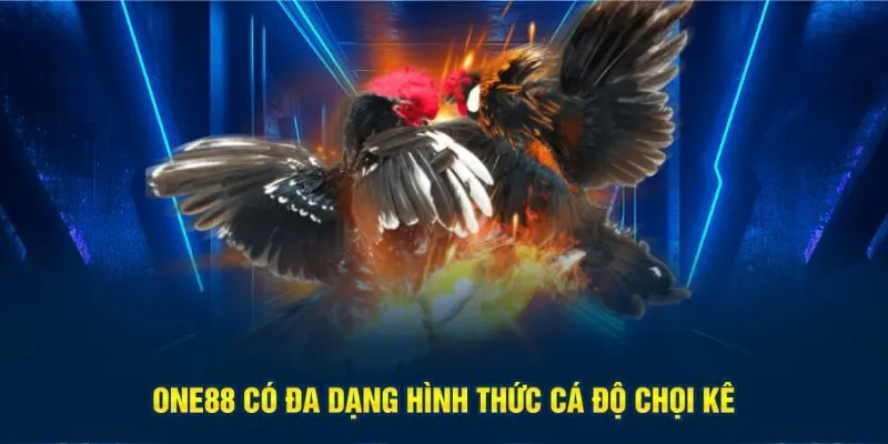 One88 có đa dạng hình thức cá độ chọi kê
