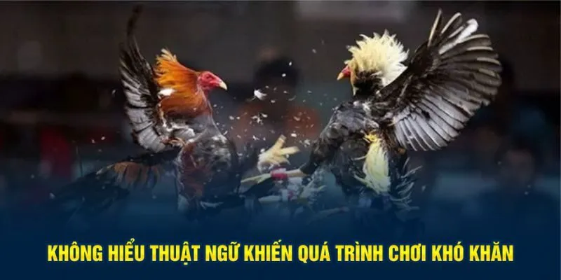 Không hiểu thuật ngữ khiến quá trình chơi khó khăn