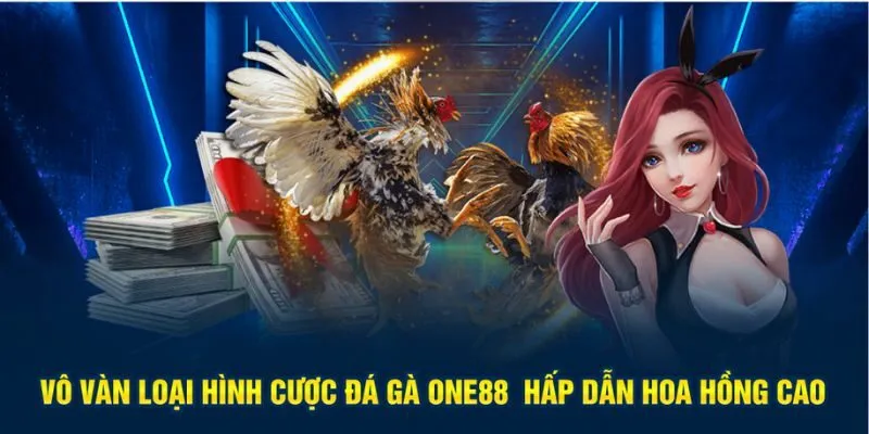 Vô vàn loại hình cược đá gà One88 hấp dẫn hoa hồng cao
