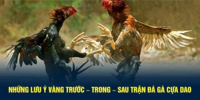 Lưu ý quan trọng giúp anh em dễ dàng chiến thắng