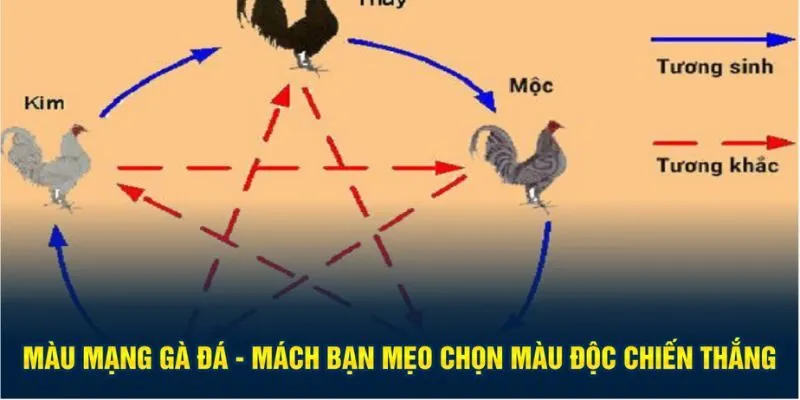 Màu mạng gà đá