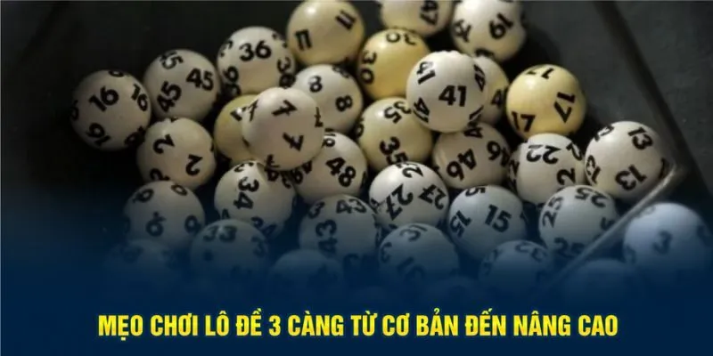 Mẹo chơi lô đề 3 càng từ cơ bản đến nâng cao