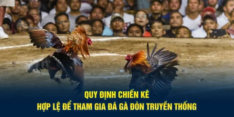 Điều kiện chiến kê hợp lệ tham gia thi đấu