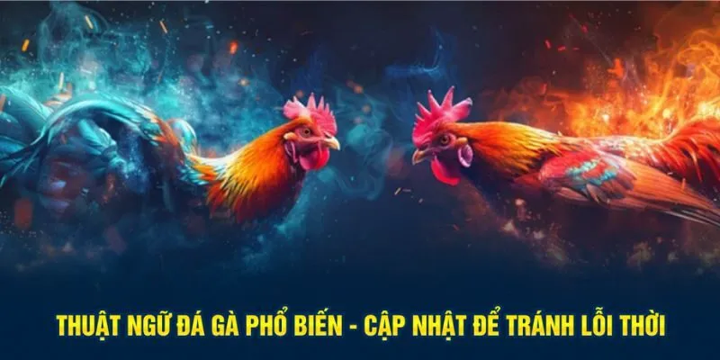 thuật ngữ đá gà phổ biến